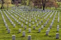 Headstones at Arlington National Cemetery