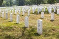 Headstones at the Arlington