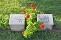 Headstones, Burnu Cemetery at Anzac Cove, Gallipoli Peninsula, Turkey Royalty Free Stock Photo