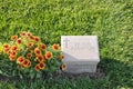 Headstones, Burnu Cemetery at Anzac Cove, Gallipoli Peninsula, Turkey Royalty Free Stock Photo