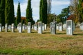 Headstones of fallen soldiers in graveyard