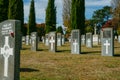 Headstones of fallen soldiers in graveyard