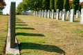 Headstones of fallen soldiers in graveyard