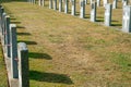 Headstones of fallen soldiers in graveyard