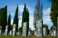 Headstones of fallen soldiers in graveyard