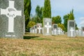 Headstones of fallen soldiers in graveyard