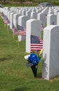 Cape Canaveral National Cemetery in Florida Royalty Free Stock Photo