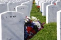 Headstones and Flowers in National Cemetery