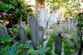 Headstones on graves in Muslim cemetery Royalty Free Stock Photo