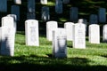 Headstones in a Line at Arlington National Cemetery