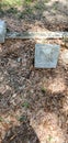 Headstones at Oak Hill Cemetery Bartow, Florida