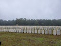 Sobering sight of Andersonville Prison graves
