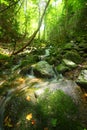 Headwaters of the Chikumagawa River