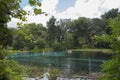 Rainbow Springs State Park, Florida