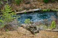 Headwaters of the Metolius River