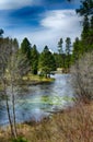 Headwaters of the Metolius River