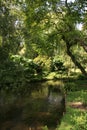 Heale Garden, Middle Woodford