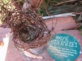 Close-up view of magpie`s nest made of steel wires