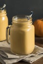 Healhty Organic Pumpkin Smoothie Royalty Free Stock Photo