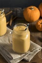 Healhty Organic Pumpkin Smoothie Royalty Free Stock Photo