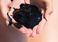 The healing black mud in the hands of a beautiful girl Royalty Free Stock Photo