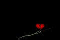 Healing broken heart concept  red heart is sewn with white thread with needle on black background Royalty Free Stock Photo