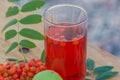 Healing drink, apples and berry of the mountain ash.