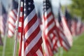 9/11 Healing Field Flags Royalty Free Stock Photo