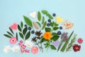 Healing Flowers and Herbs for Natural Skincare