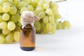 Healing grapes seeds oil in a glass jar, fresh grapes on white background, seed extract has antioxidant and nourishing
