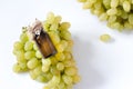 Healing grapes seeds oil in a glass jar, fresh grapes on white background, seed extract has antioxidant and nourishing
