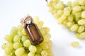 Healing grapes seeds oil in a glass jar, fresh grapes on white background, seed extract has antioxidant and nourishing