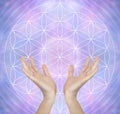 Healing Hands and Flower of Life Symbol Message Background