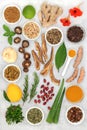 Healing Health Foods to Boost the Immune System Royalty Free Stock Photo