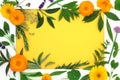 Healing Herb and Edible Flower Background Border Frame Royalty Free Stock Photo