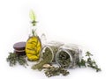 Healing herbs and edible flowers 3