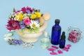 Healing Herbs and Flowers for Alternative Herbal Medicine Royalty Free Stock Photo