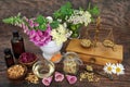 Healing Herbs and Flowers for Alternative Remedies Royalty Free Stock Photo