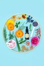 Healing Herbs and Flowers for Natural Skincare Treatments