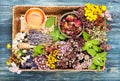 Healing herbs and flowers in a tray, honey and herbal tea. Royalty Free Stock Photo