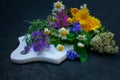 Healing herbs and flowers on a white wooden board. The concept of natural cosmetics and medicines.