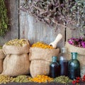 Healing herbs in hessian bags and bottles of essential oil Royalty Free Stock Photo