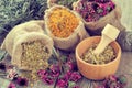 Healing herbs in hessian bags, mortar with chamomile