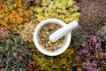 Healing herbs and mortar of medicinal herbs - thyme, coneflower, marigold, daisies, helichrysum flowers, heather, mistletoe. Royalty Free Stock Photo