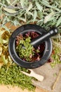 Healing herbs on wooden table, mortar and pestle Royalty Free Stock Photo