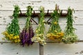 Healing medical herbs on a rake on a white old wooden wall. Royalty Free Stock Photo