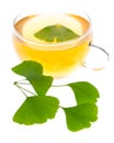 Healing plants: Ginkgo ginko bilboa tea with leaves Royalty Free Stock Photo
