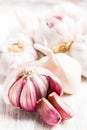 Healing plants: Allium sativum Garlic - bulbs and individual cloves Royalty Free Stock Photo