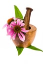 Healing plants: coneflower Echinacea purpurea with wooden mortar Royalty Free Stock Photo