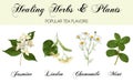 Healing plants set